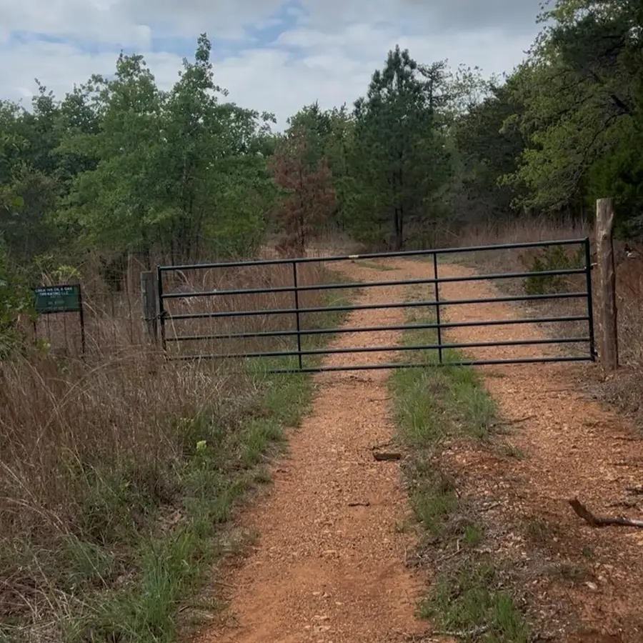 Lot 14 & Lot 15 Antioch Rd, Paige, TX 78659 - #3