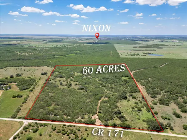 TBD County Rd 171 Rd, Nixon, TX 78140