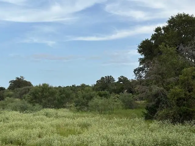 Lot #1 Willis Ln Ln, Smithville, TX 78957 - #3