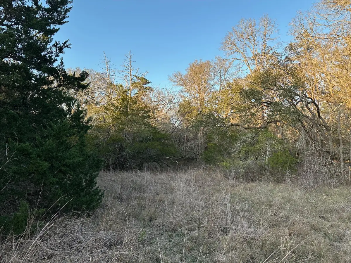 303 Fm 609 Rd, Flatonia, TX 78941 - Image #1