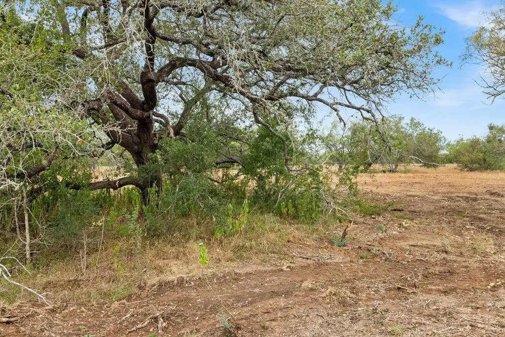 7&8 Cr 171, Nixon, TX 78140 - Image #1