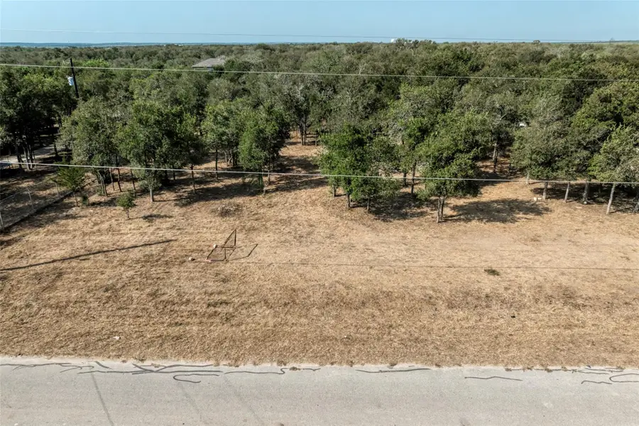 222 Rio Vista Ranch Rd, Del Valle, TX 78617 - #3