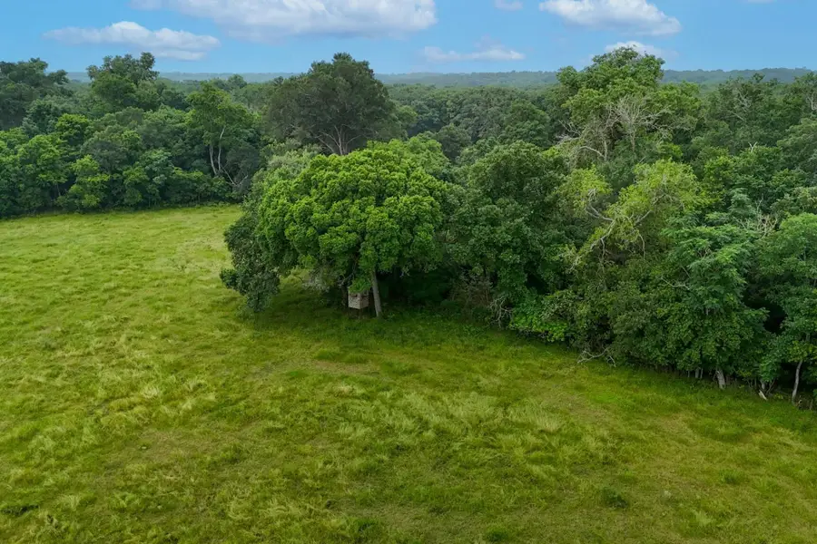 645 Jerrys Crk, Lockhart, TX 78644 - #3