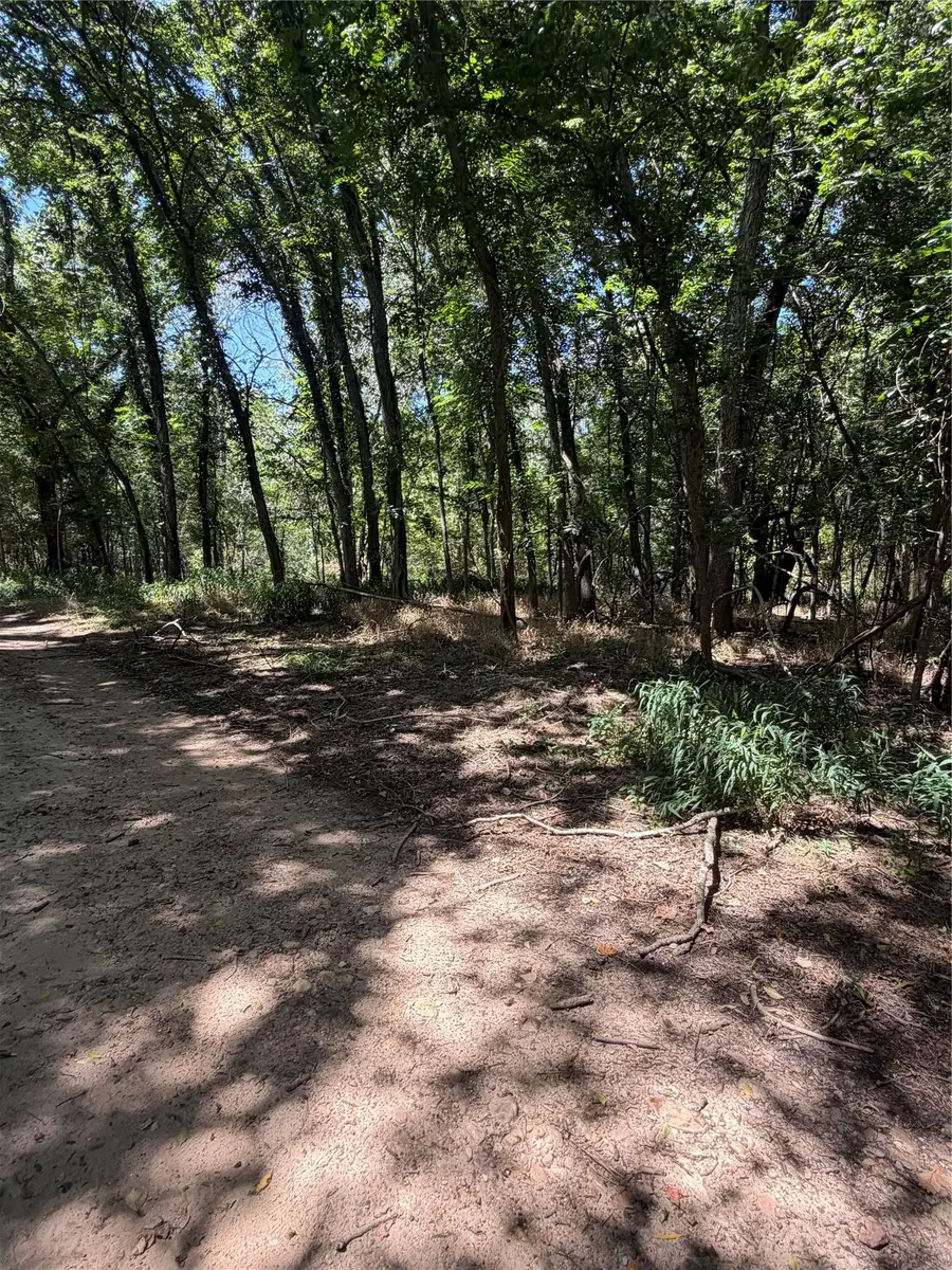 Lot 677 Kaukonahua Ln, Bastrop, TX 78602 - #3