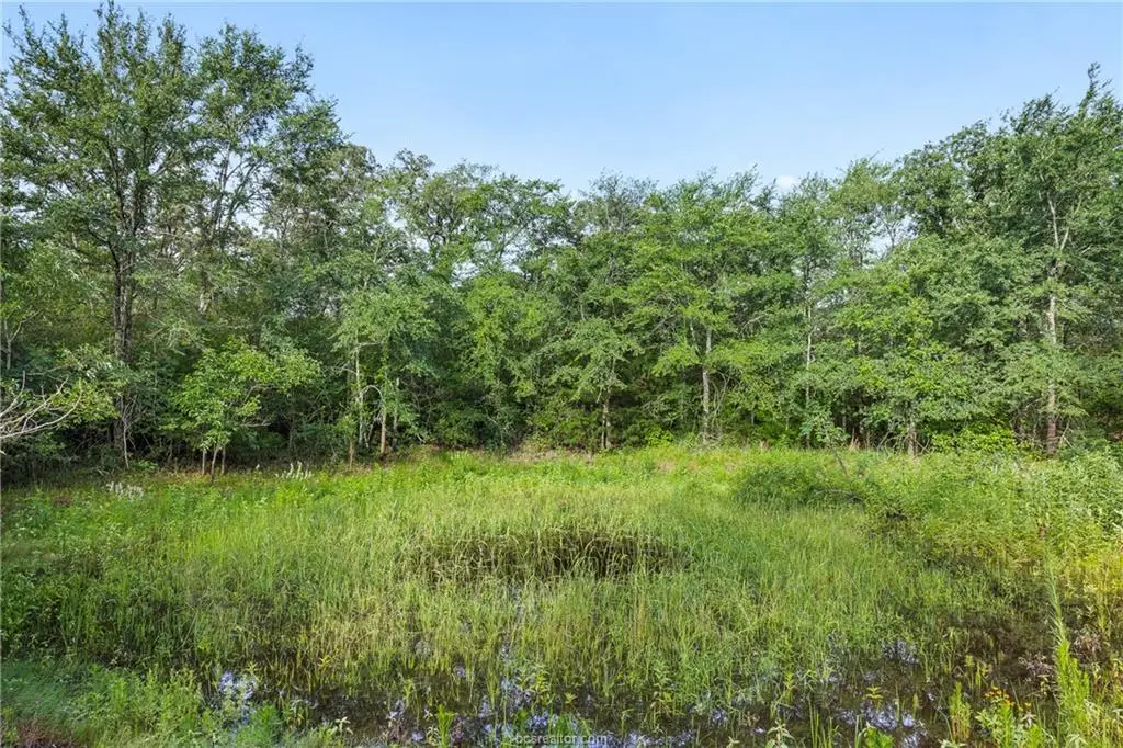 5163 County Road 358 Rd, Gause, TX 77857 - #1