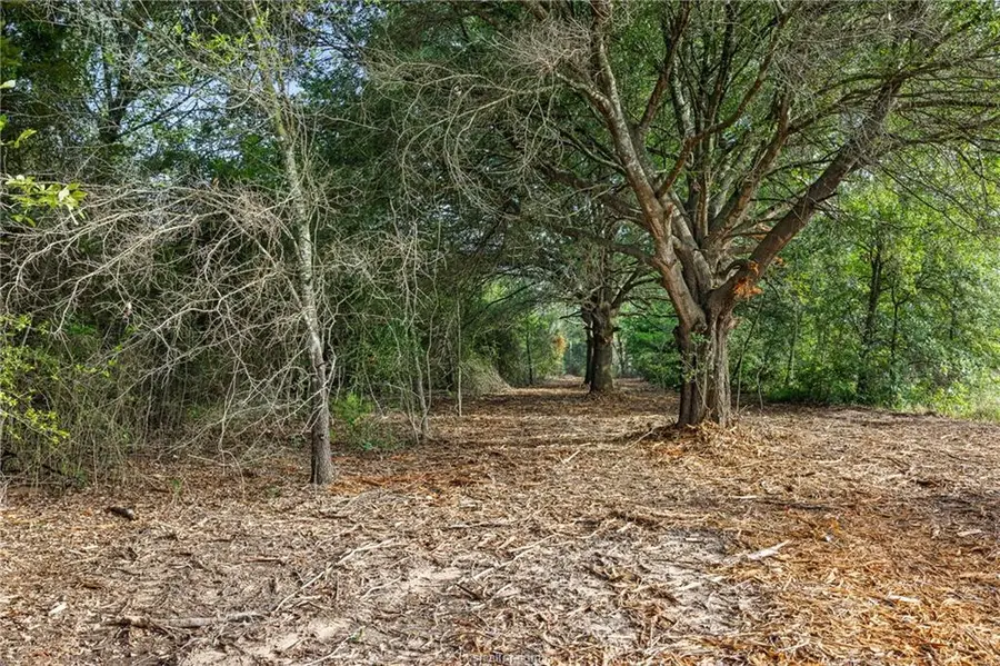 5163 County Road 358 Rd, Gause, TX 77857 - #3