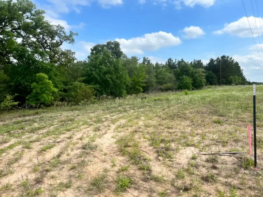 000 Ponderosa Loop Loop, Circle D Kc Estates, TX 78602 - #3
