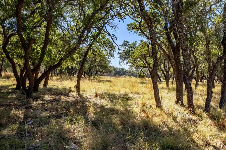 TBD Legacy Oaks Dr, Harper, TX 78631 - #3