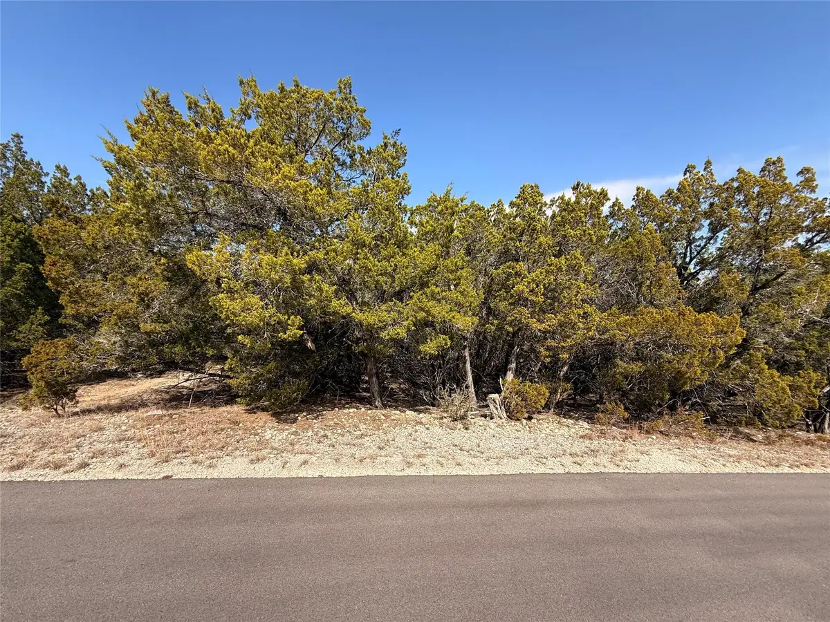 20206 Lee Ln, Lago Vista, TX 78645 - #1