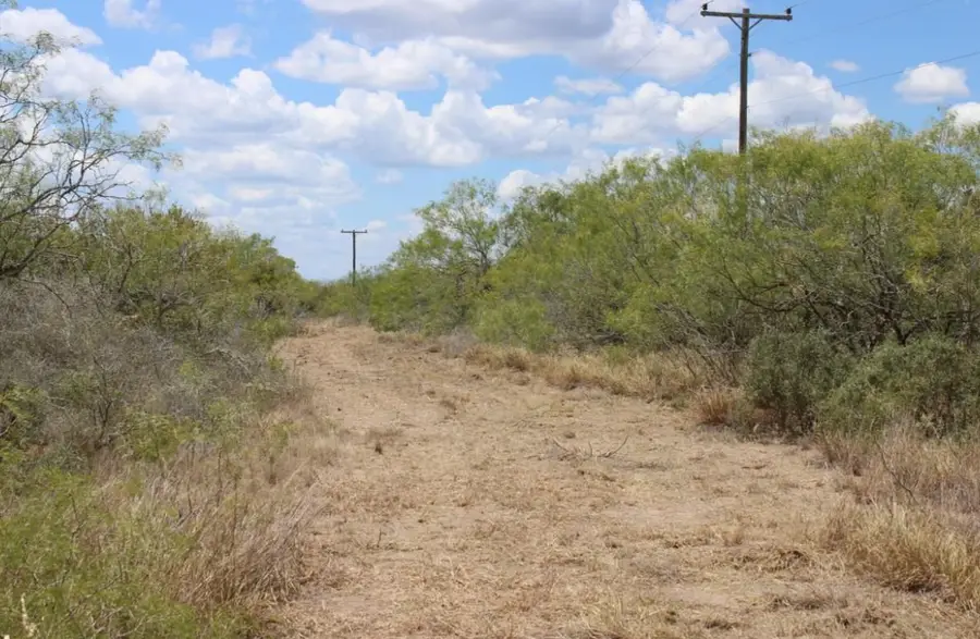 0 County Road 284 Rd, Benavides, TX 78341 - Image #3