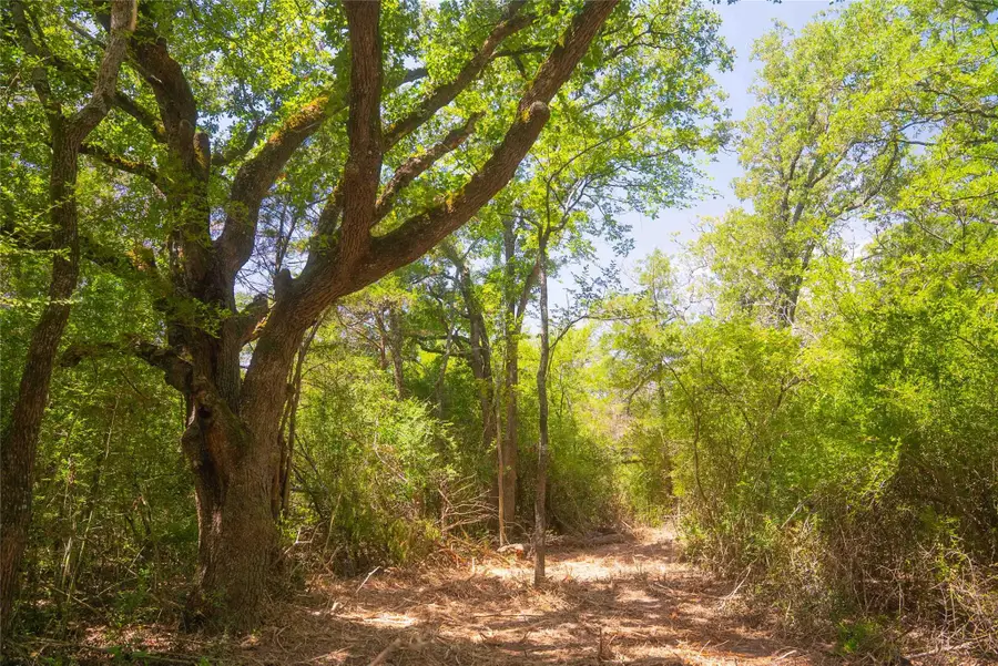 12582 Red Hill Rd, Hearne, TX 77859 - #2