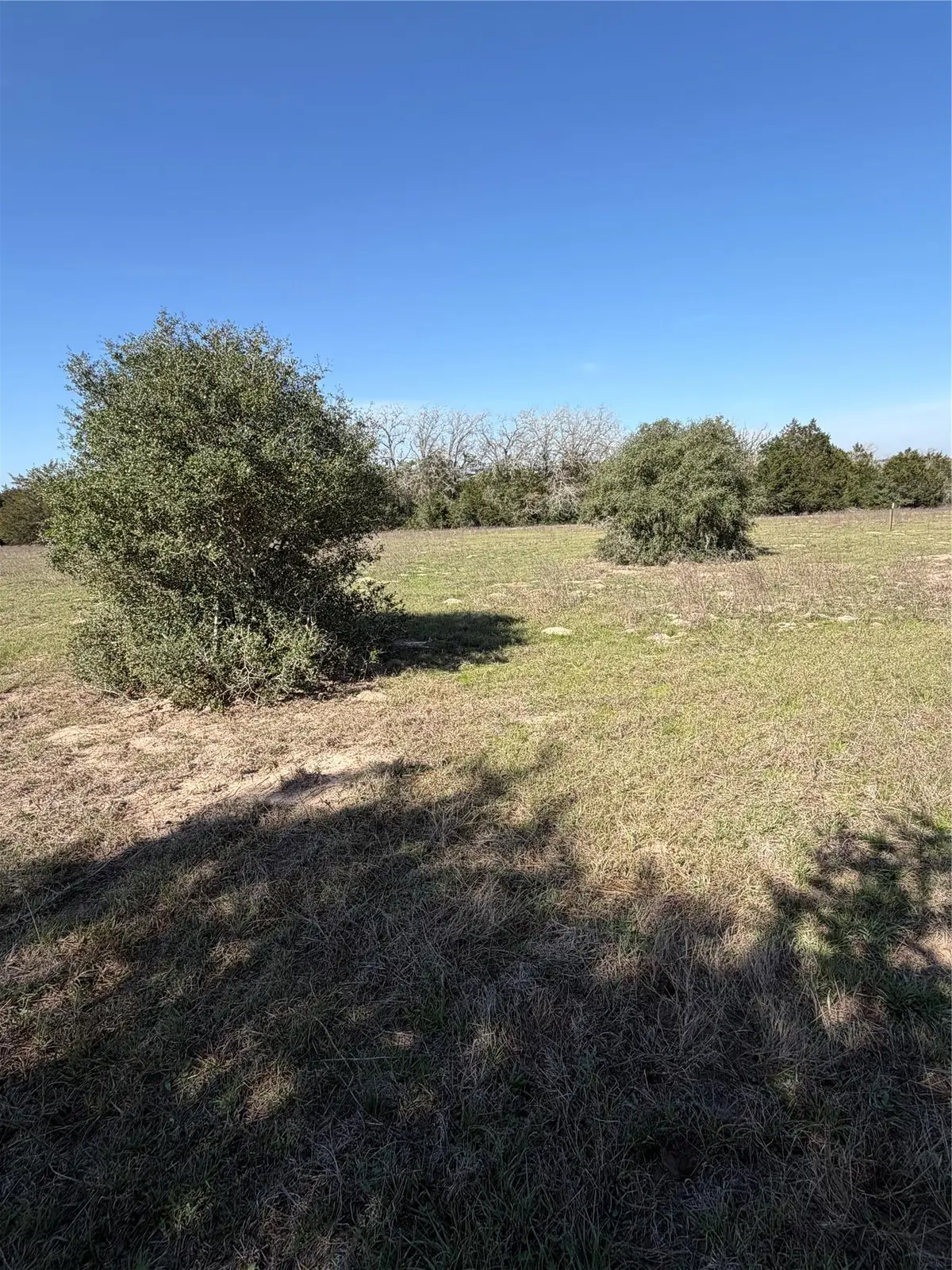 TBD Cedar Rock Rd, Rosanky, TX 78953 - #1