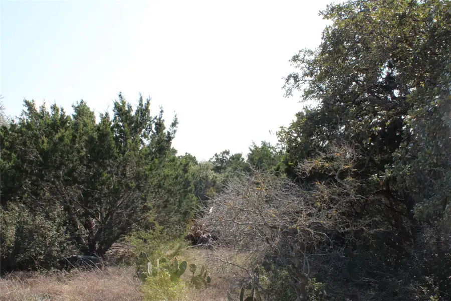 251 Serenity, Fischer, TX 78623 - #2