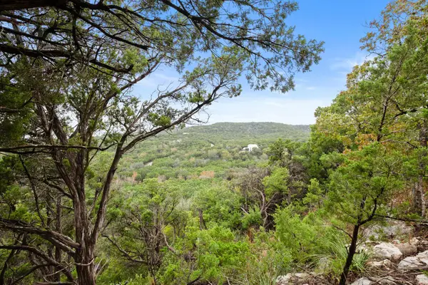 18211 Gregg Bluff Rd, Jonestown, TX 78645