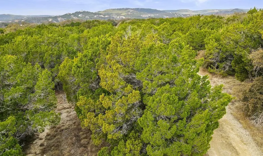 10033 Lime Creek Rd, Volente, TX 78641 - #3