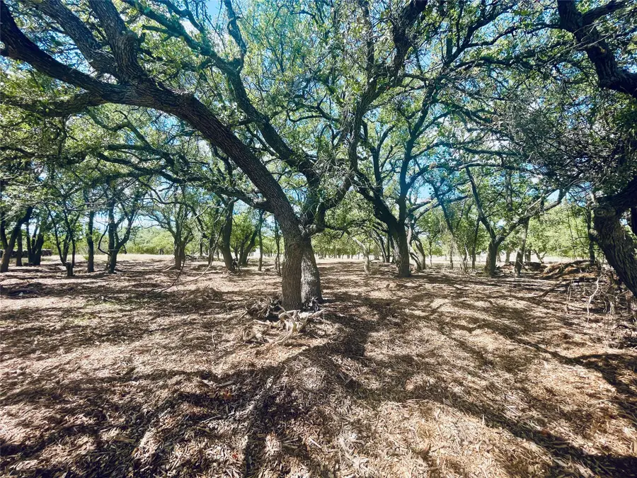 233 Towhead Valley Rd, Johnson City, TX 78636 - Image #3