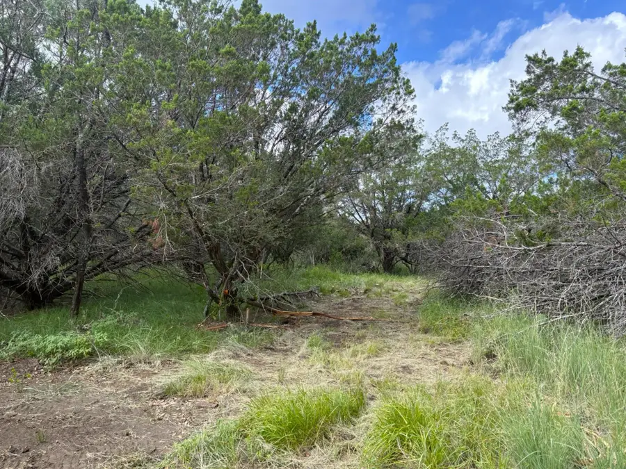 380 Sandy Mountain, Sunrise Beach Village, TX 78643 - Image #2