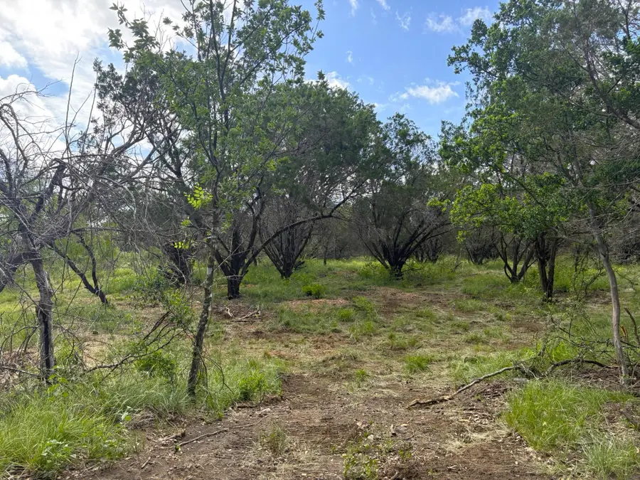 380 Sandy Mountain, Sunrise Beach Village, TX 78643 - Image #3