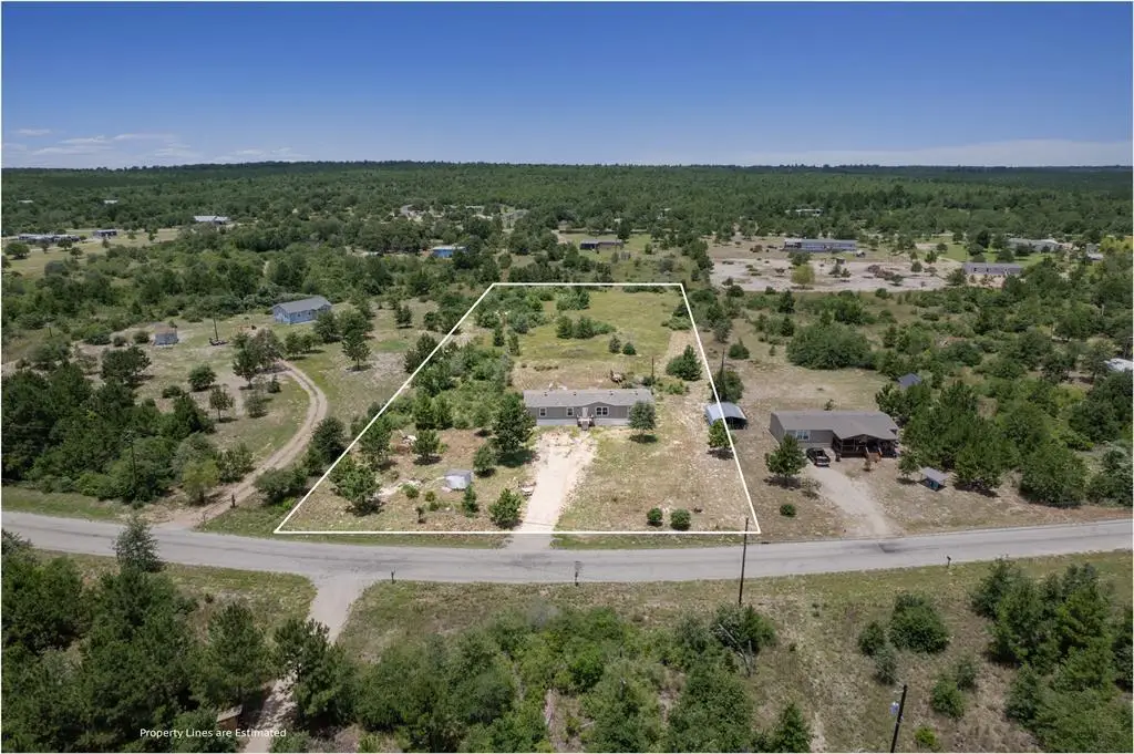 178 Ponderosa Loop, Paige, TX 78659 - #1