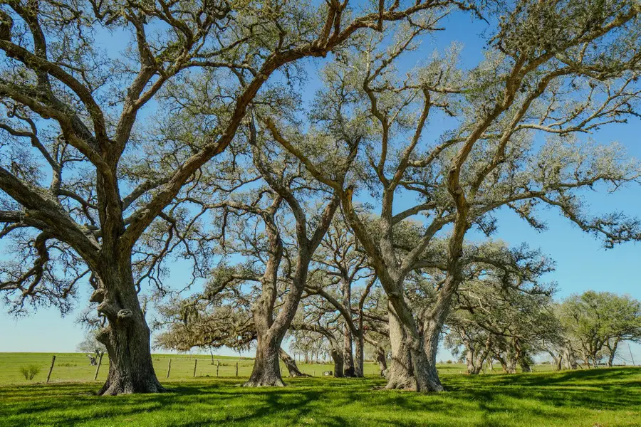 1797 County Road 261, Moulton, TX 77975 - #3