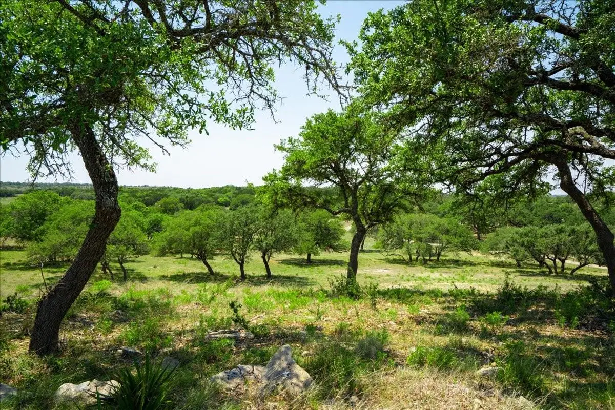 101 Mystic Overlook Dr, Dripping Springs, TX 78620 - #1