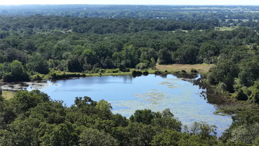 TBD Hwy 21 E Highway, Lincoln, TX 78948 - #2