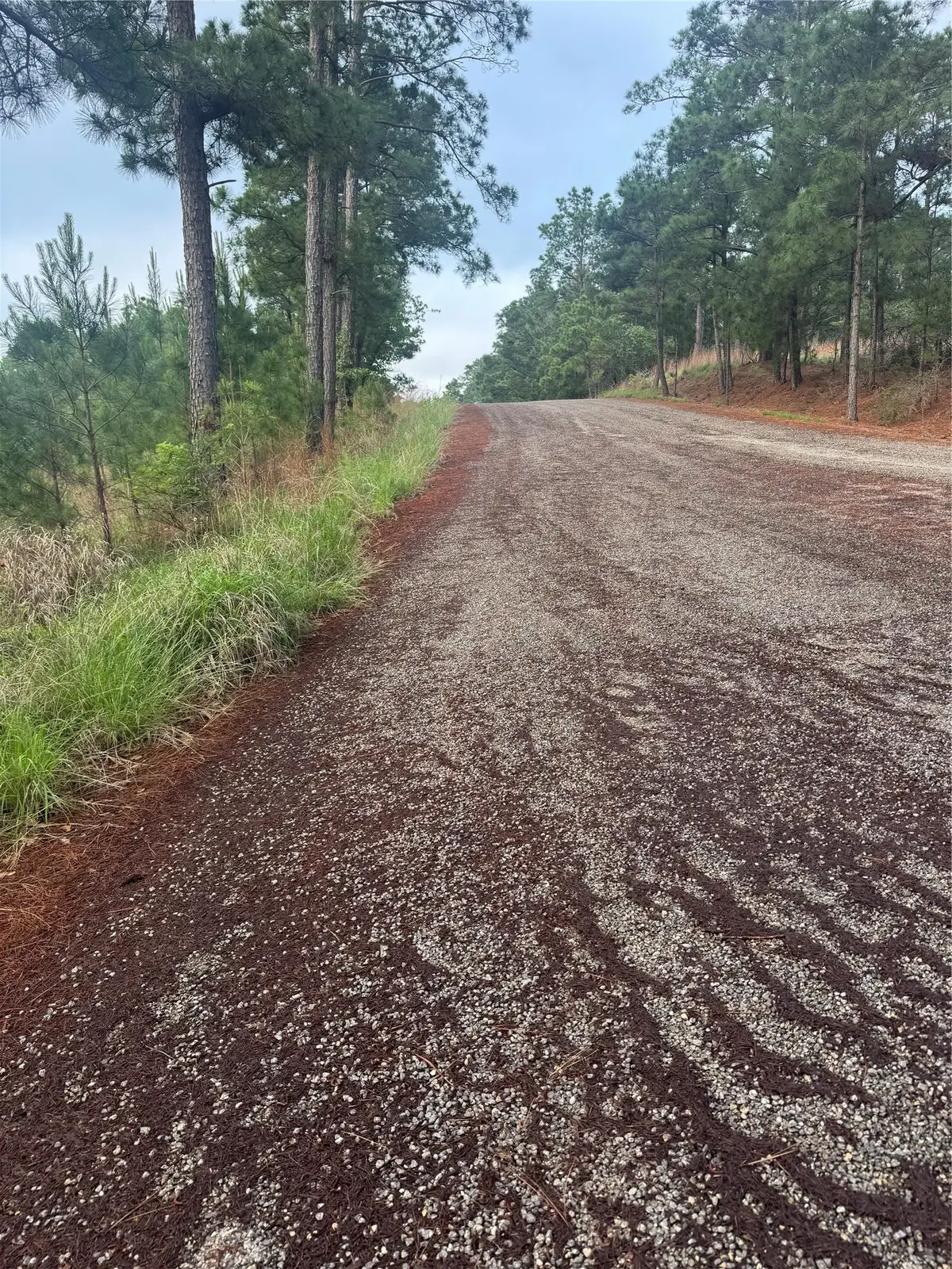 Lot 1490 Haleakala, Bastrop, TX 78602 - #1