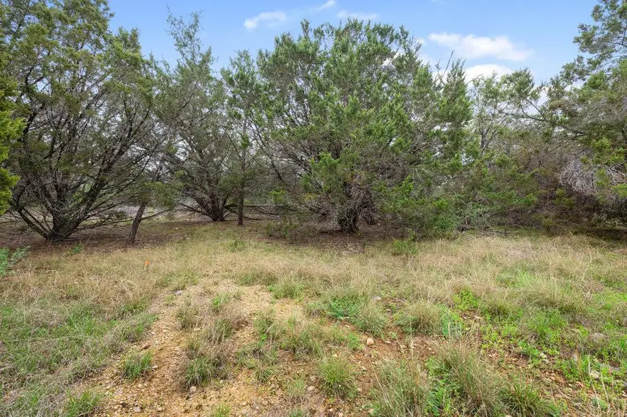 429 Red Oak, Liberty Hill, TX 78642 - #3