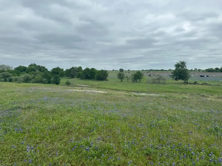 TBD Hackberry Rd, Salado, TX 76571 - Image #3