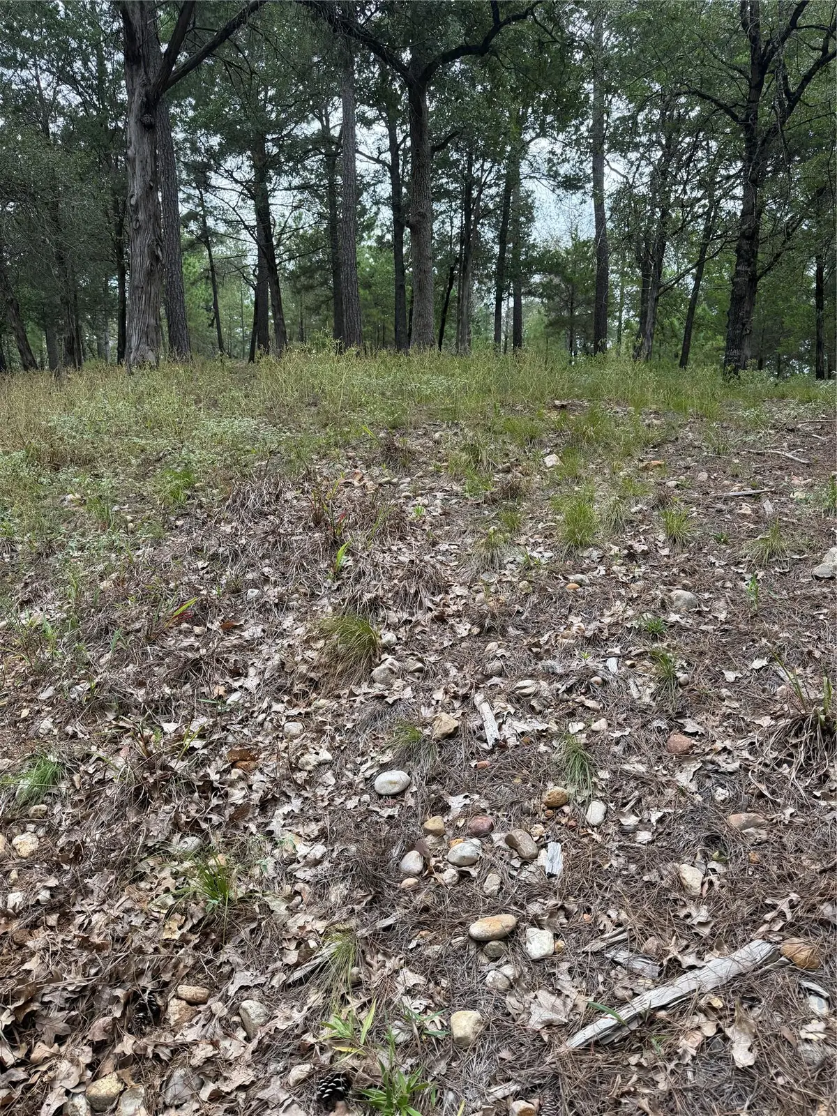 Lot  291 Aka Ct, Bastrop, TX 78602 - #1