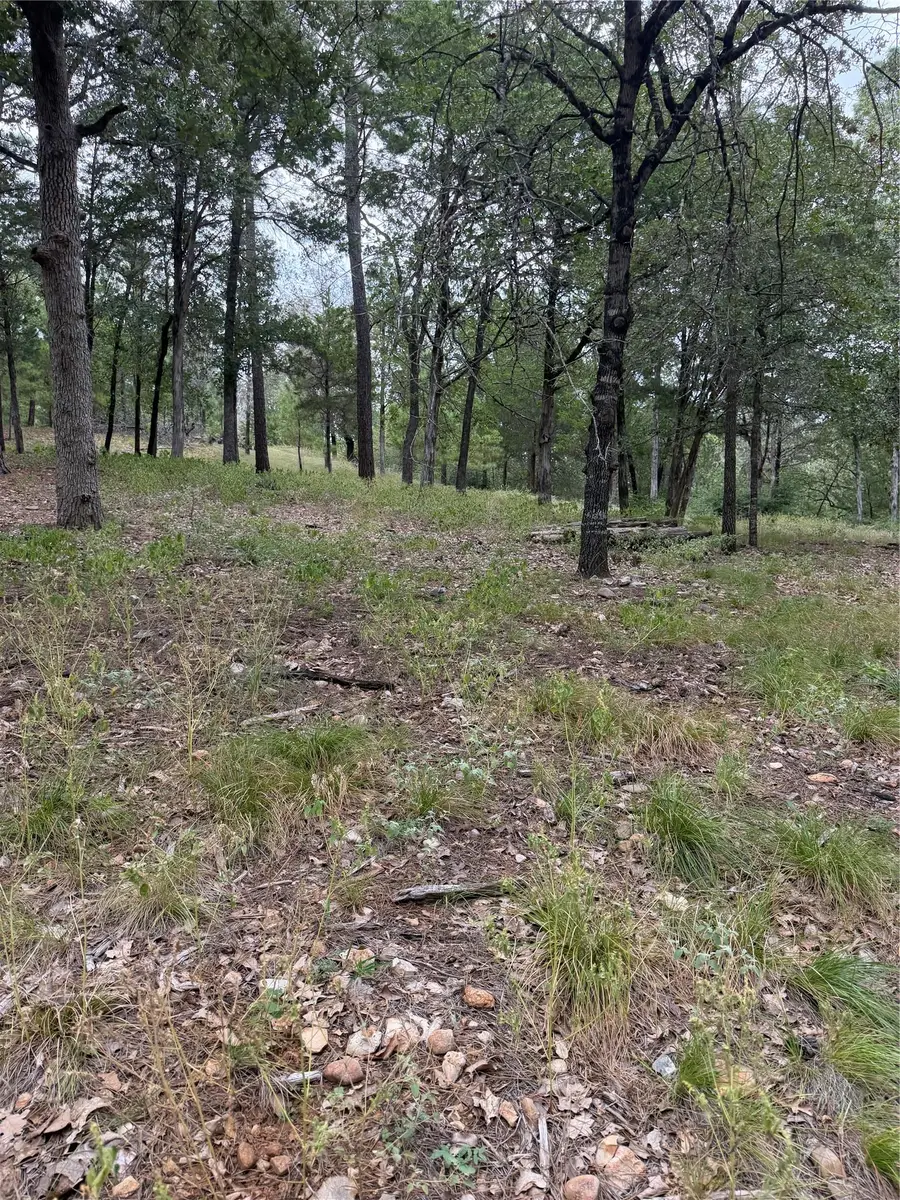 Lot  291 Aka Ct, Bastrop, TX 78602 - #2