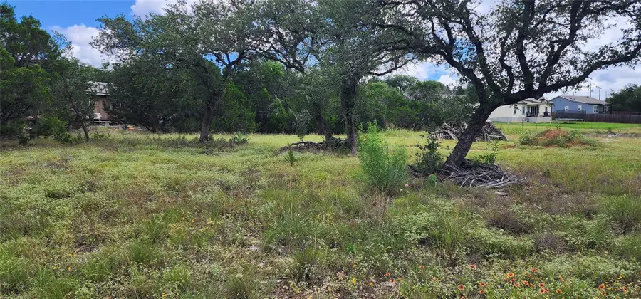 1285 Cedar Lake, Spring Branch, TX 78070 - #2