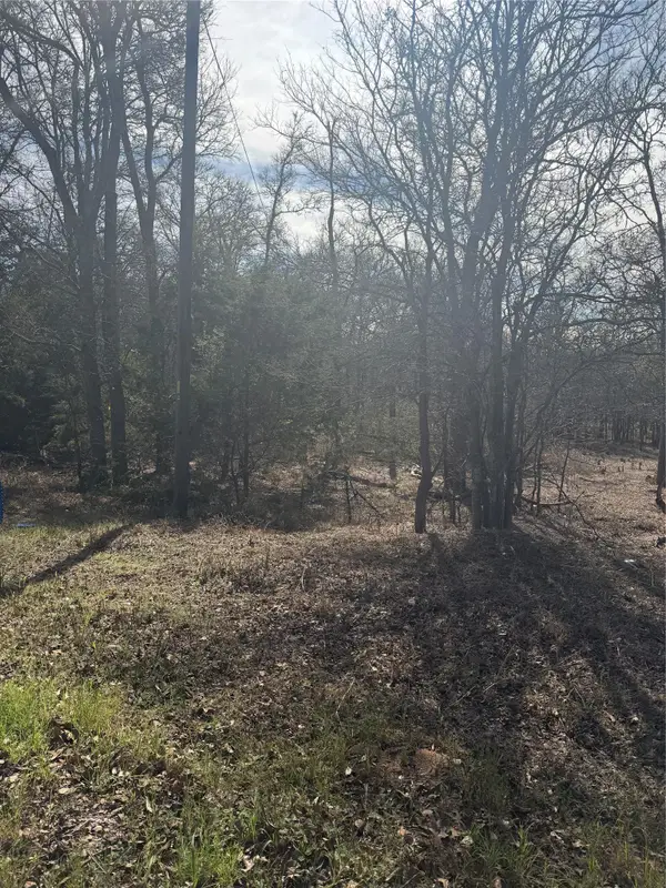 157 E Keanahalululu Ln, Bastrop, TX 78602