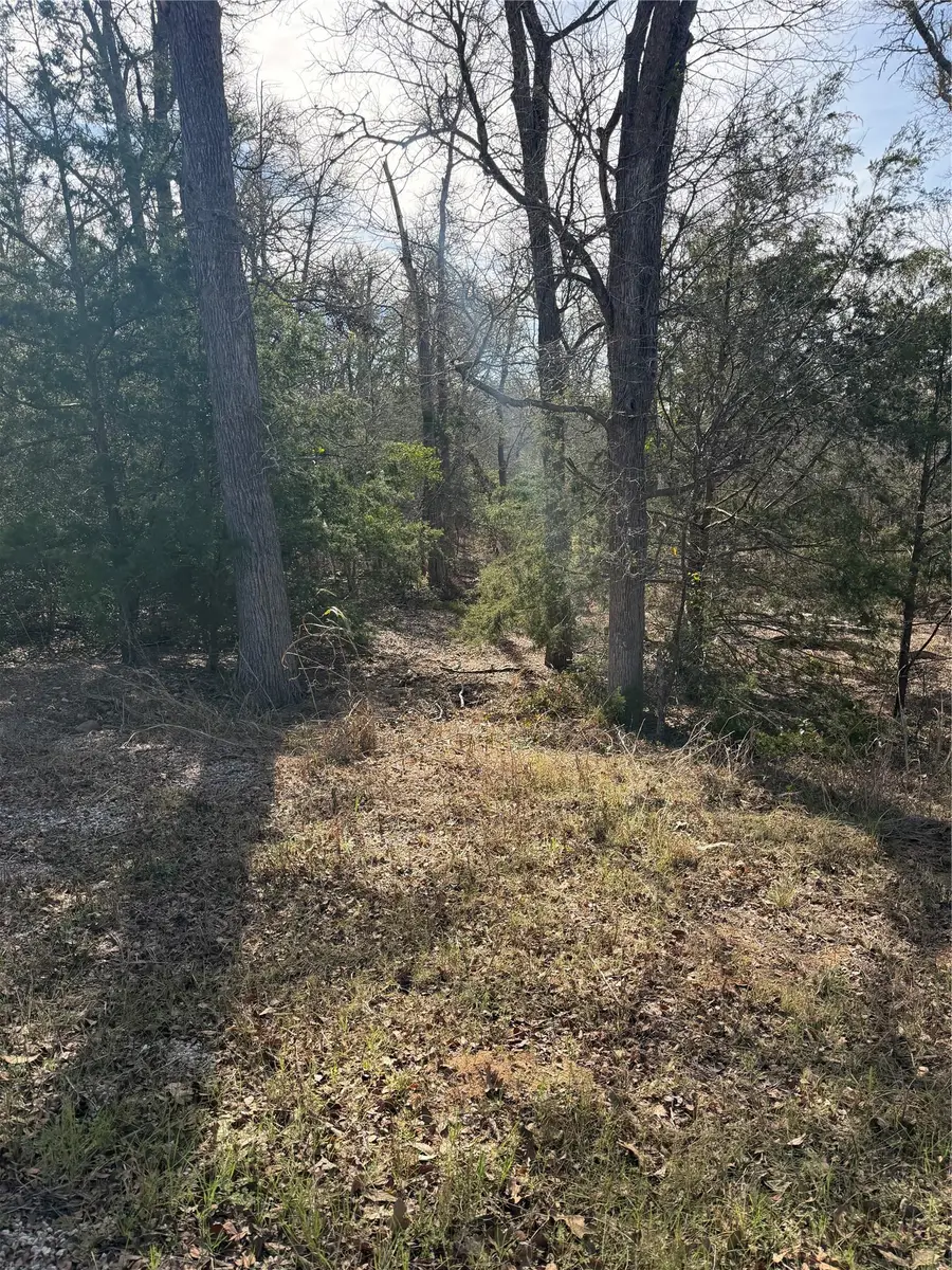 157 E Keanahalululu Ln, Bastrop, TX 78602 - #3