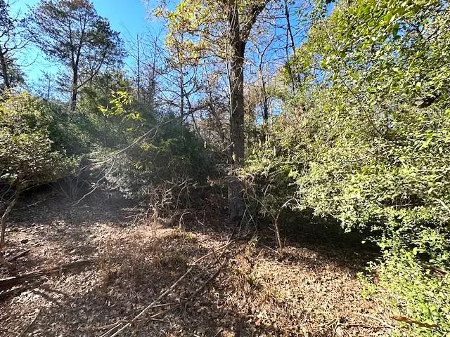 506 Tahitian Dr, Bastrop, TX 78602 - Image #3