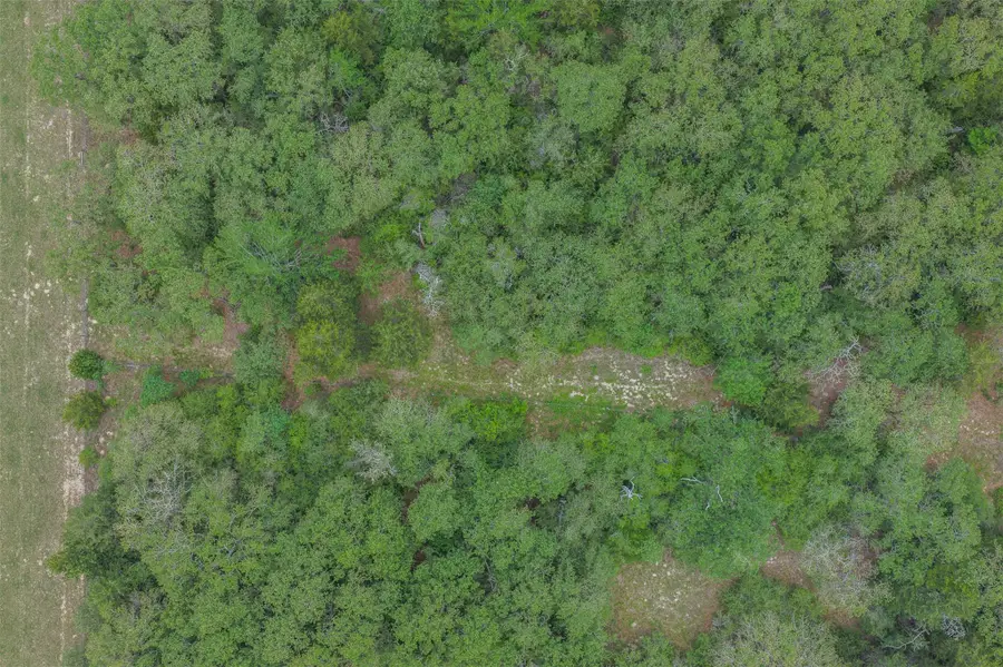 900 22 Hills Rd, Gause, TX 77857 - #2