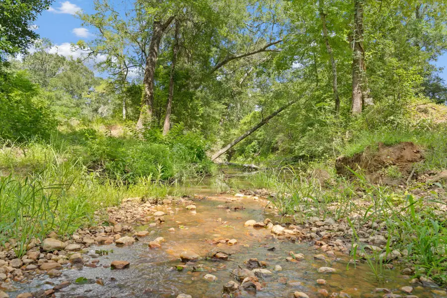TBD (Tracts 11 & 12) St Delight Rd, Paige, TX 78659 - #3