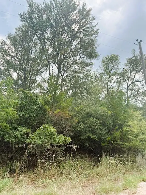 119 Waikiki Dr, Bastrop, TX 78602 - #2