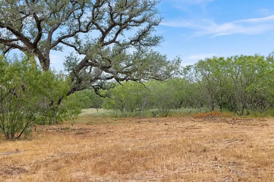 TBD Cr 171, Nixon, TX 78140 - #2
