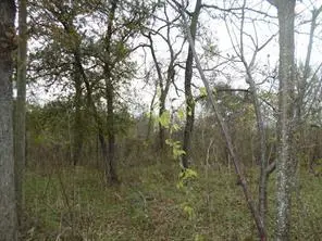394 Fm 112, Thrall, TX 78947 - #1