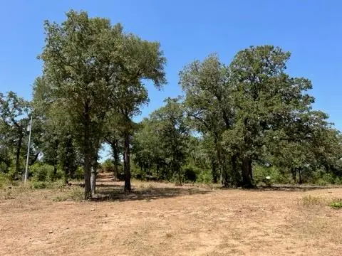 452 Wilhelm Way, Red Rock, TX 78662 - #1