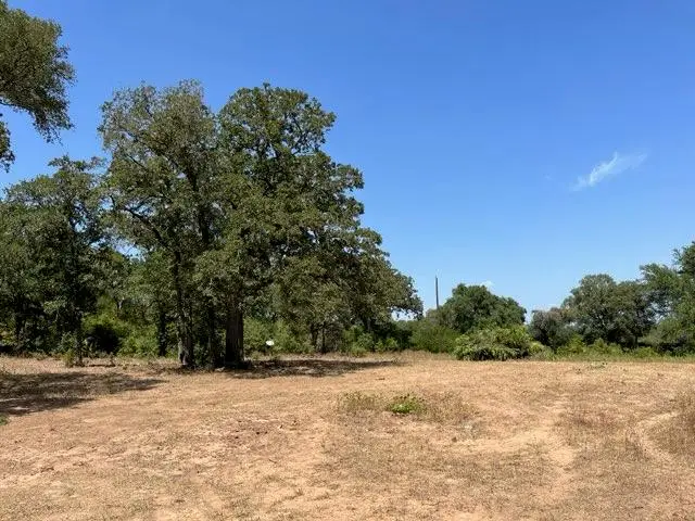 452 Wilhelm Way, Red Rock, TX 78662 - #3