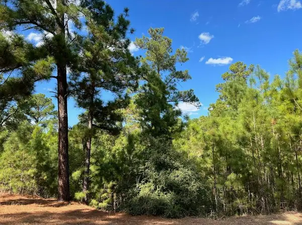 Lot 986 Kailua L Ln, Bastrop, TX 78602