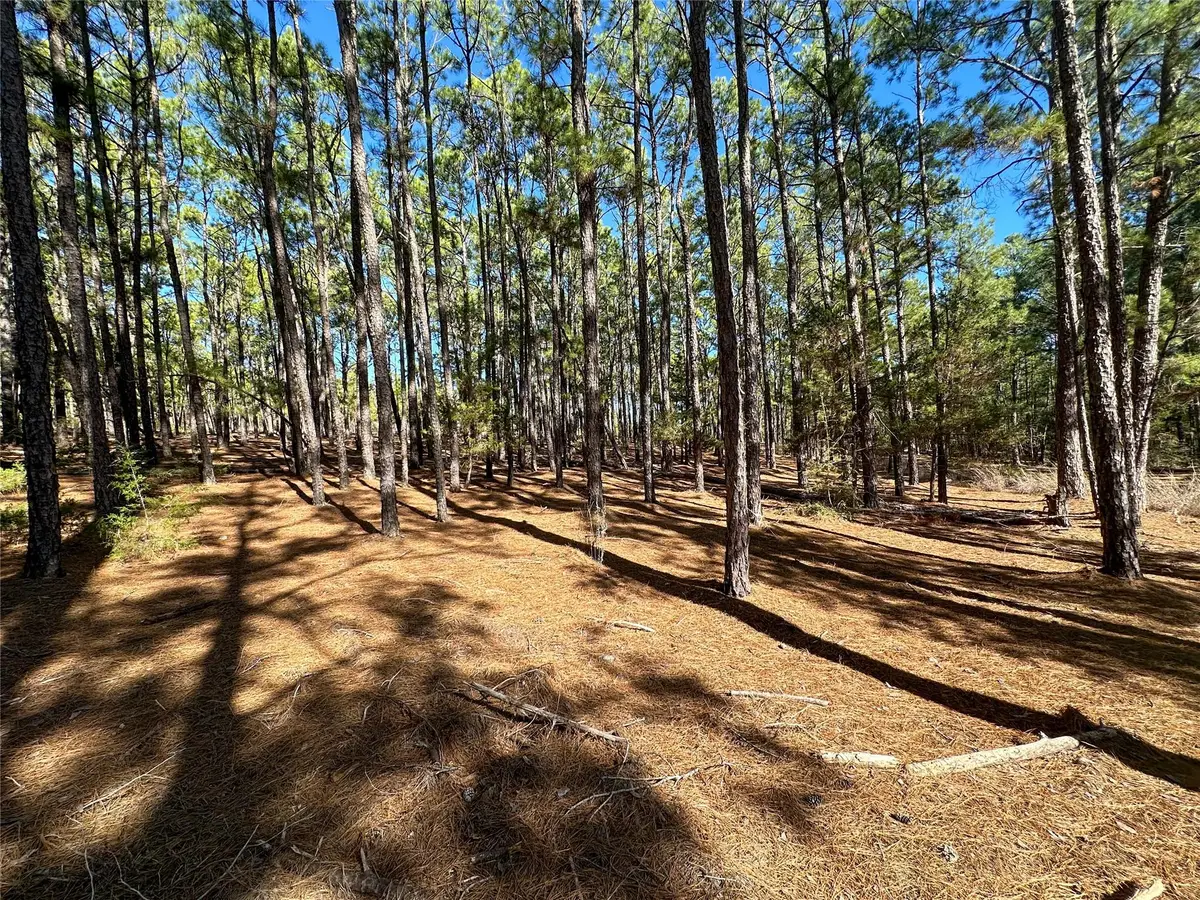 Lot 12 Hickory Ridge Dr, Bastrop, TX 78602 - #1