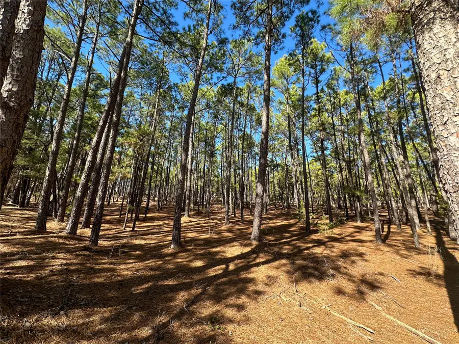 Lot 12 Hickory Ridge Dr, Bastrop, TX 78602 - #2