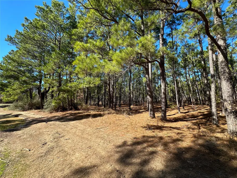 Lot 12 Hickory Ridge Dr, Bastrop, TX 78602 - #3
