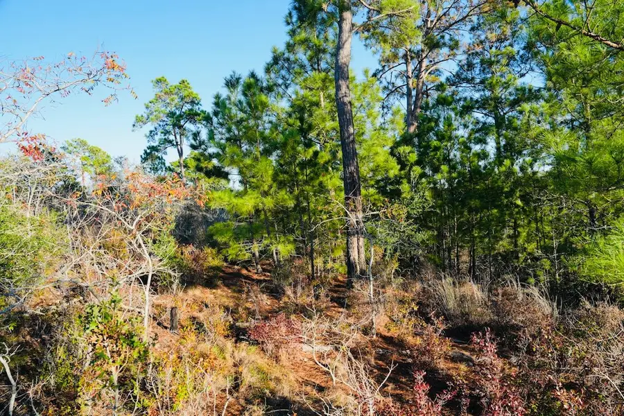 Lot132 Pahala Ct, Bastrop, TX 78602 - Image #3