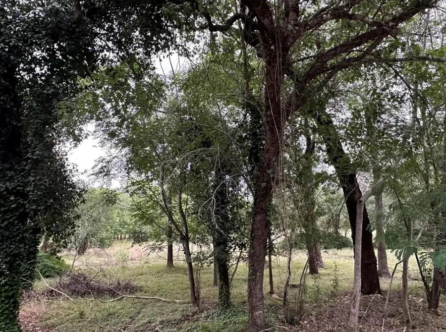 911 Penion Dr, Austin, TX 78748 - Image #2