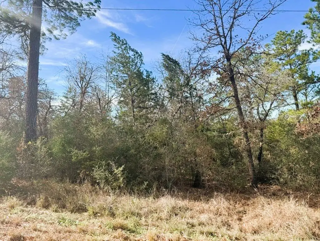 106 Olomana Ct, Bastrop, TX 78602 - #1