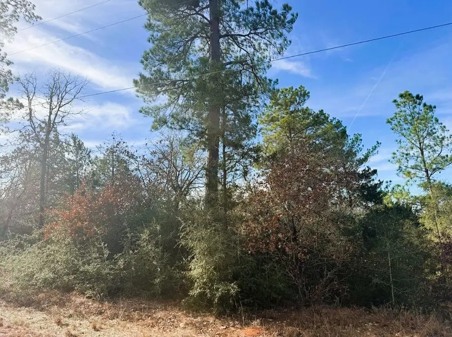 106 Olomana Ct, Bastrop, TX 78602 - #3